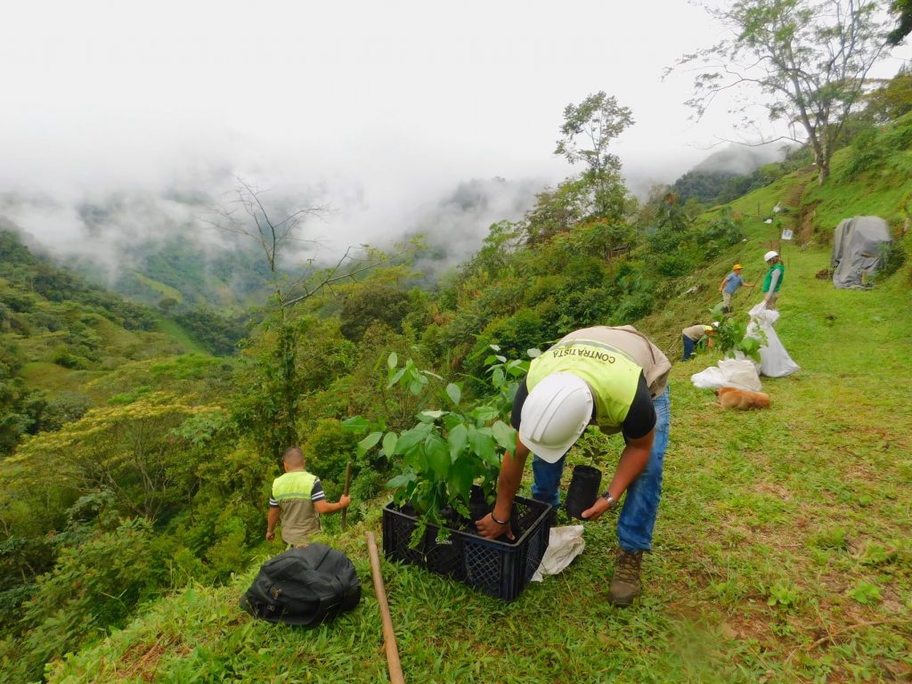 green mining